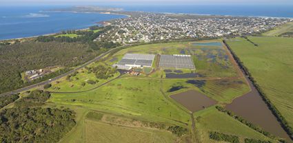 Philip Island Nursery - VIC T (PBH3 00 34615)